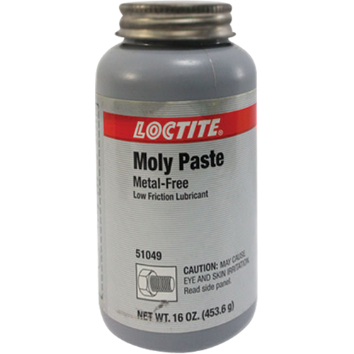 P&acirc;te en moly, 518 g, 750°F (400°C) temp&eacute;rature efficace max. Canadian Safety Group Inc.