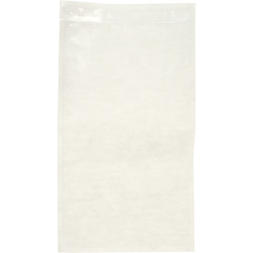 Non-Printed Packing List Envelope, 10" L x 5-1/2" W, Endloading Style Canadian Safety Group Inc.