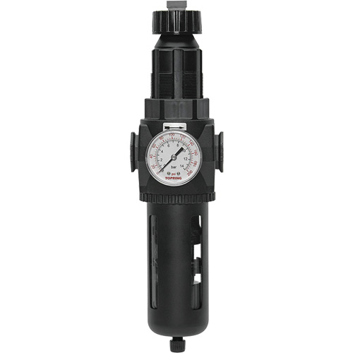 Modulair 400 Filter/Regulator with Manual Drain, 3/4" NPT, 200 psi, 9.1 fl. oz. Capacity Canadian Safety Group Inc.