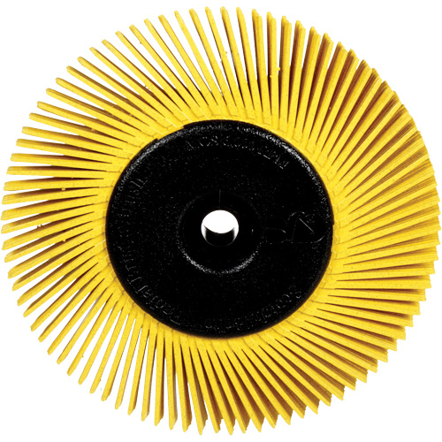Brosses radiales bristle pour meuleuses d'&eacute;tabli, Grain 80X, 6" dia. Canadian Safety Group Inc.