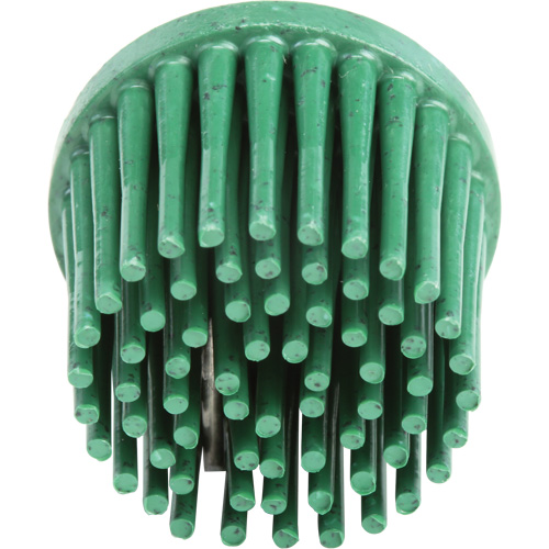Disques bristle Roloc, Grain 120, 1" dia. Canadian Safety Group Inc.