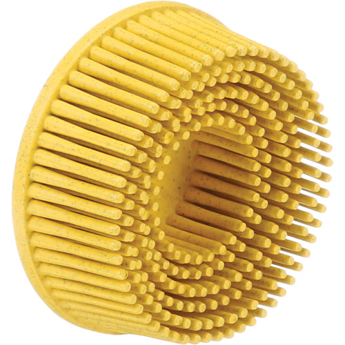 Scotch-Brite Roloc Bristle Discs, 80 Grit, 2" Dia. Canadian Safety Group Inc.