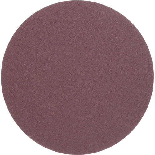 PSA Cloth Disc 248D, 12" Dia., 50 Grit, Aluminum Oxide Canadian Safety Group Inc.