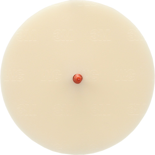 Disque Scotch-Brite 7502 pour retrait de colle et de bandes de moulage, 6" dia. Canadian Safety Group Inc.