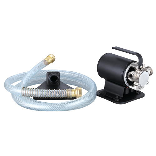 Portable Transfer Pump, 115 V, 264 GPH, 1/10 HP Canadian Safety Group Inc.