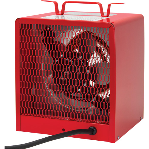 Radiateur, Entrepreneur, &eacute;lectrique, 16 380 BTU/H Canadian Safety Group Inc.