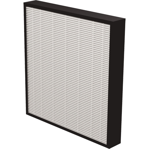 AeraMax&reg; Pro AM3 & AM4 2" True HEPA Filter, Box, 13.75" W x 2.25" D x 14.38" H Canadian Safety Group Inc.