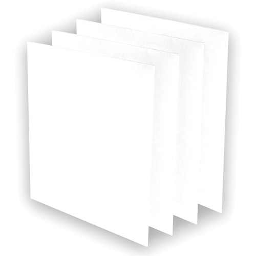 Pr&eacute;-filtres AeraMax Pro AM3 ou AM4, 13,75" la x 0,13" p x 14,38" h Canadian Safety Group Inc.