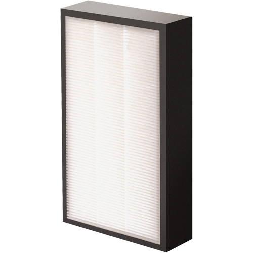 V&eacute;ritables filtre HEPA AeraMax Pro AM2 1-3/4", Boîte, 7,38" la x 1,88" p x 12,88" h Canadian Safety Group Inc.
