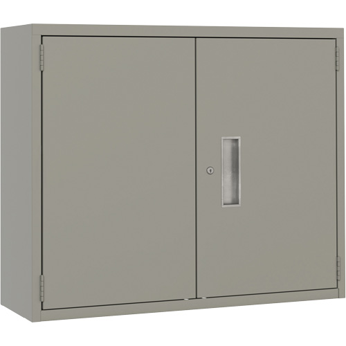 Wall Mounted Cabinet, Steel, 2 Shelves, 30" H x 36" W x 12" D, Grey Canadian Safety Group Inc.