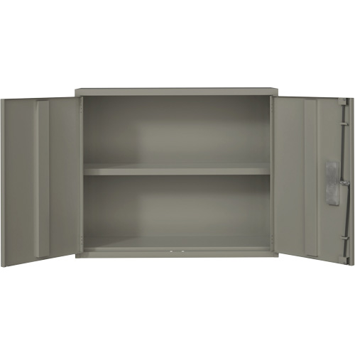 Wall Mounted Cabinet, Steel, 2 Shelves, 30" H x 36" W x 12" D, Grey Canadian Safety Group Inc.