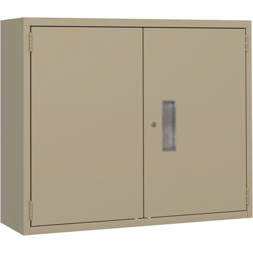 Wall Mounted Cabinet, Steel, 2 Shelves, 30" H x 36" W x 12" D, Beige Canadian Safety Group Inc.