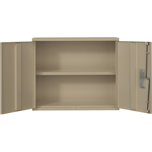 Wall Mounted Cabinet, Steel, 2 Shelves, 30" H x 36" W x 12" D, Beige Canadian Safety Group Inc.
