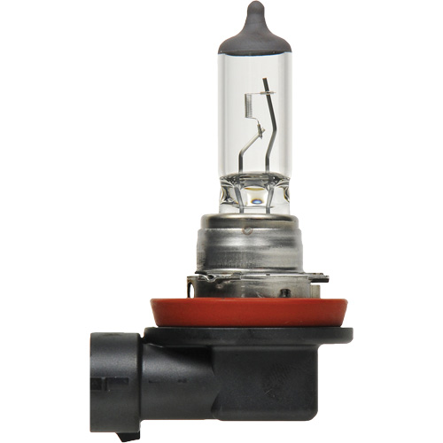 H8 Basic Headlight Bulb, Halogen, 35 W, Off White Canadian Safety Group Inc.