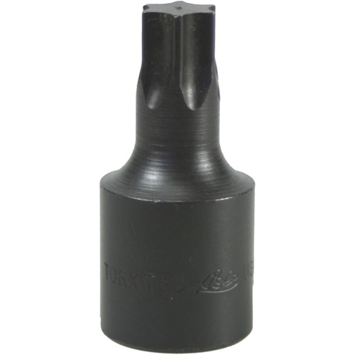 Douille &agrave; embout, Torx, T-60, Prise 1/2" Canadian Safety Group Inc.