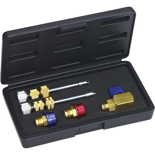 R134a Eaton (M8 & M10) Valve Core Kit Canadian Safety Group Inc.
