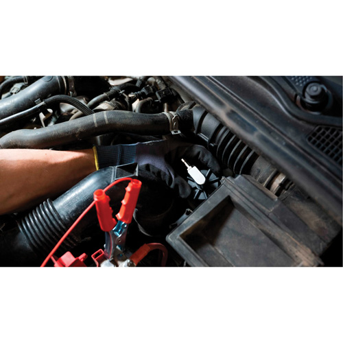 Pompette de purge de frein Brake-Pro &agrave; structure haute avec adaptateurs Canadian Safety Group Inc.