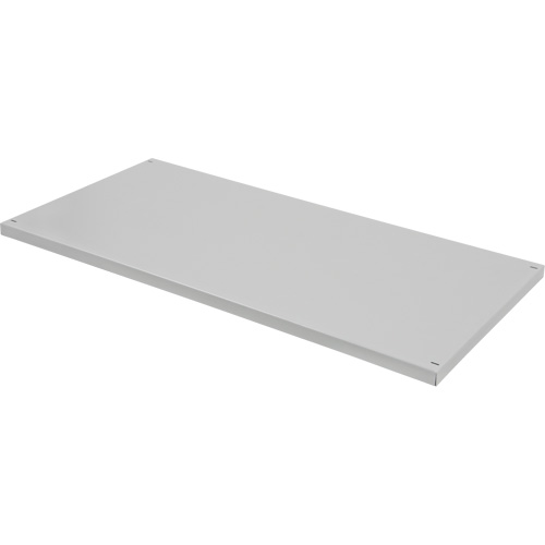 Replacement Shelf for Knocked Down Cabinet, 30" x 15", 100 lbs. Capacity, Steel, Grey Canadian Safety Group Inc.