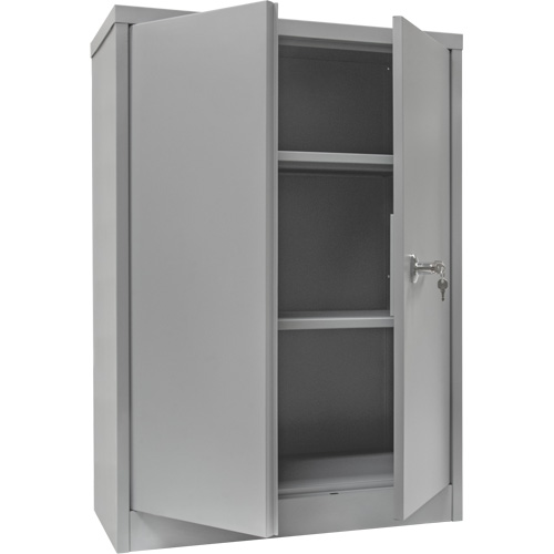 Counter-High Storage Cabinet, Steel, 2 Shelves, 42" H x 30" W x 15" D, Grey Canadian Safety Group Inc.