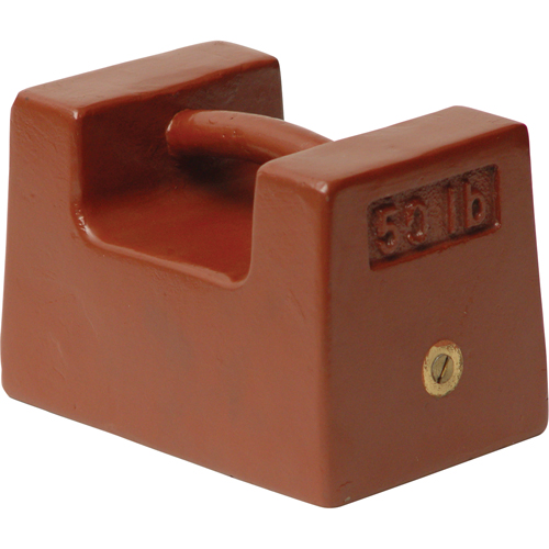 Poids individuels pour tests de balance Canadian Safety Group Inc.