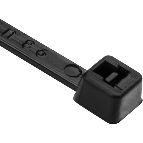 Attaches de c&acirc;ble PA66, Longueur 8", R&eacute;sistance &agrave; la traction 50 lb, Noir Canadian Safety Group Inc.