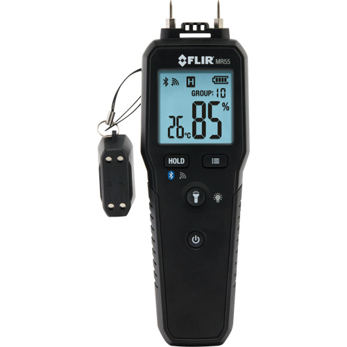 Pin Moisture Meter with Bluetooth&reg;, 1 - 99% Moisture Range Canadian Safety Group Inc.
