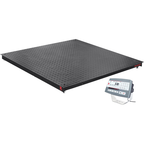 DEFENDER 5000 Floor Scale, 2500 lbs. Capacity, 48" W x 48" L Canadian Safety Group Inc.