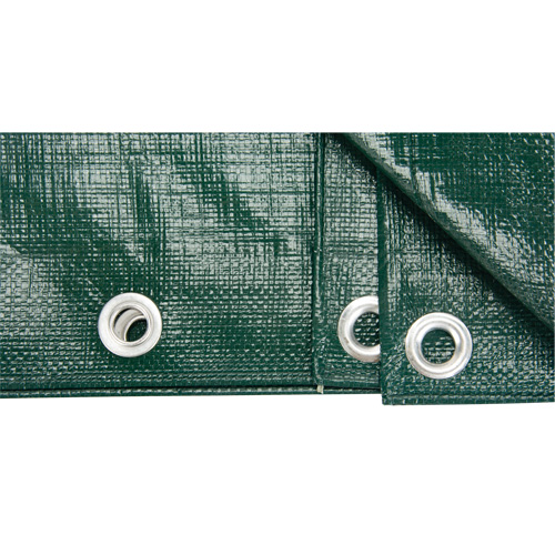 Tarp, Heavy-Duty, Green, 10' x 8' x 9 mils Canadian Safety Group Inc.