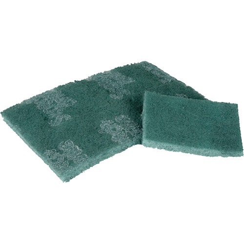 Tampon de r&eacute;curage, 3" lo x 4-1/2" la Canadian Safety Group Inc.