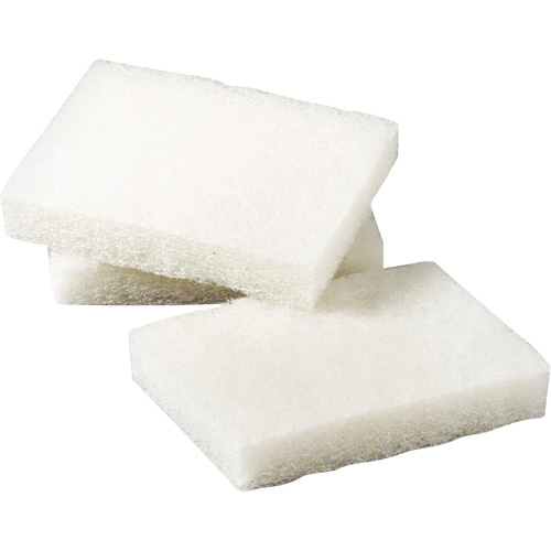 Tampon &agrave; r&eacute;curer pour petits travaux Scotch-Brite, 5" lo x 3-1/2" la Canadian Safety Group Inc.