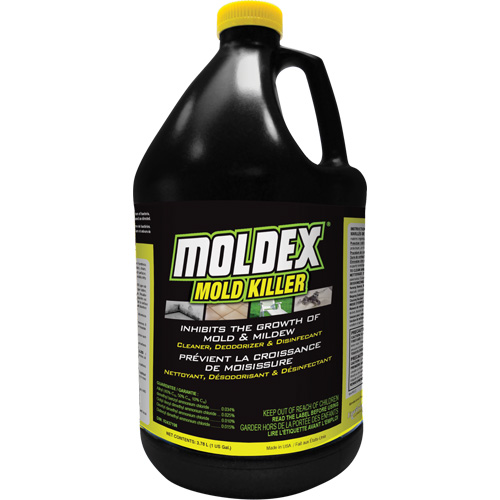 Moldex&reg; Mold Killer, 3.78 L, Jug Canadian Safety Group Inc.