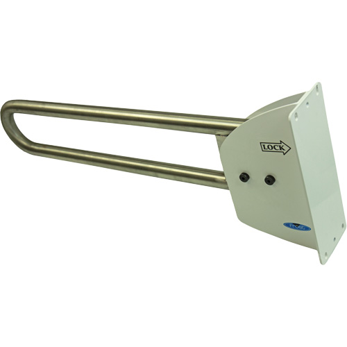 Swing-Up Safety Rail Canadian Safety Group Inc.
