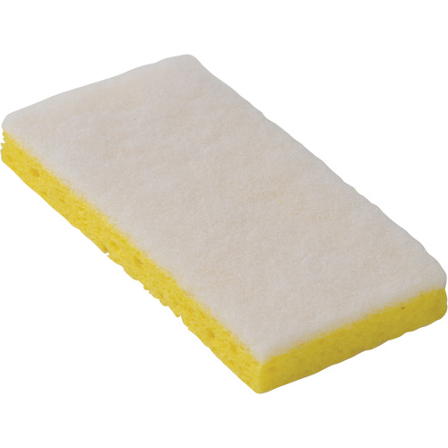 745W Light-Duty Scouring Sponges, 6-1/4" L x 3-1/5" W Canadian Safety Group Inc.