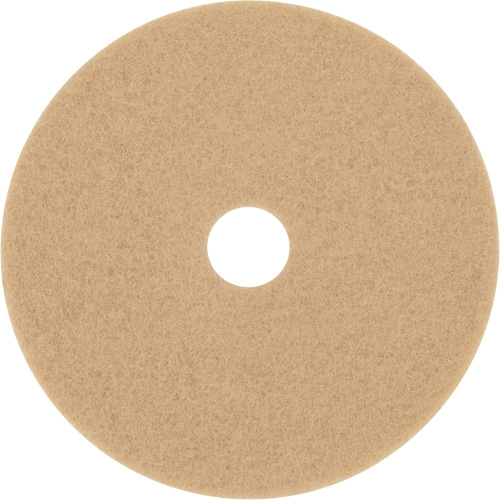 Trizact Diamond TZ Abrasive Strip, 20", Burnishing, Beige Canadian Safety Group Inc.