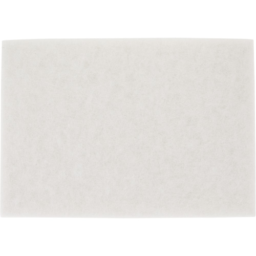 Tampon pour planchers TopLine Speed, 14" x 20", Lustrage/Nettoyage/Polissage, Blanc Canadian Safety Group Inc.