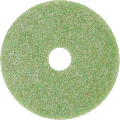 Tampon de m&eacute;lange naturel, 12", &agrave; r&eacute;curer, Vert Canadian Safety Group Inc.