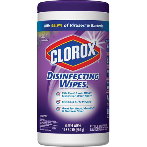 Disinfecting Wipes, 75 Count Canadian Safety Group Inc.