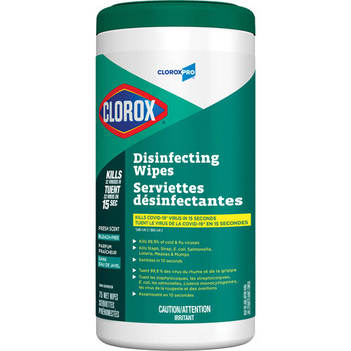 Disinfecting Wipes, 75 Count Canadian Safety Group Inc.