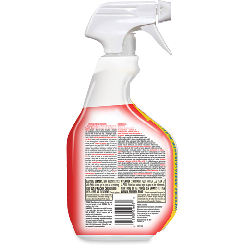 Nettoyant d&eacute;sinfectant contre les taches et odeurs biologiques, 946 ml, Bouteille &agrave; g&acirc;chette Canadian Safety Group Inc.