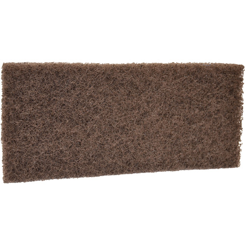 Coarse Scrub Pad, 10" L x 4-1/2" W Canadian Safety Group Inc.