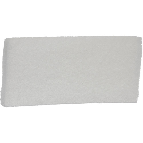 Fine Scrub Pad, 10" L x 4-1/2" W Canadian Safety Group Inc.