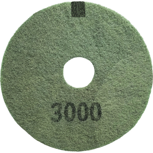 3000 Grit Floor Pad, 14", Scrubbing/Stripping, Black Canadian Safety Group Inc.