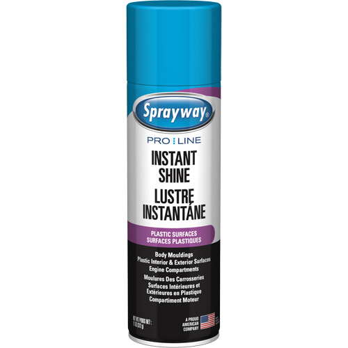 Pro Line Instant Shine for Plastic Surfaces, 11 oz., Aerosol Can Canadian Safety Group Inc.