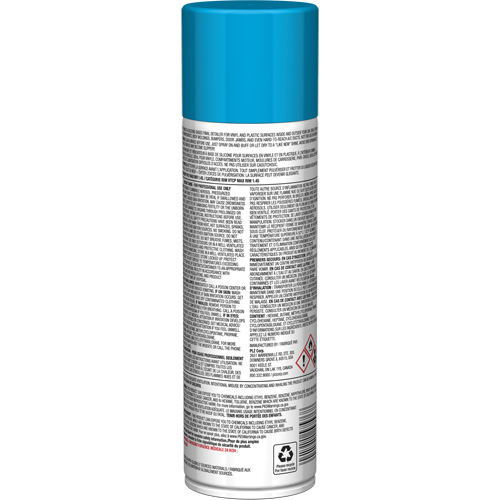 Pro Line Instant Shine for Plastic Surfaces, 11 oz., Aerosol Can Canadian Safety Group Inc.