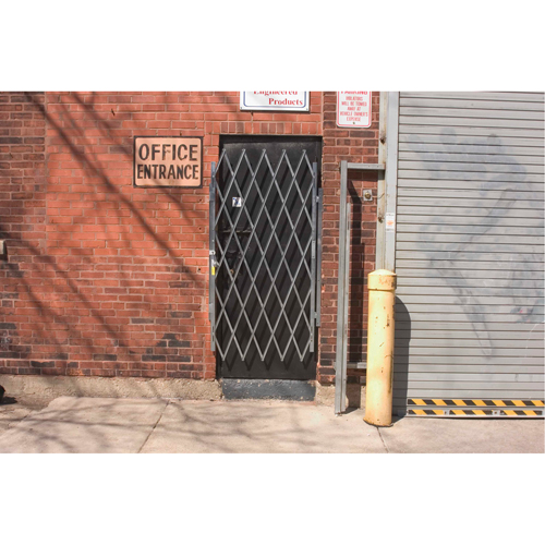 Heavy-Duty Door Gates, Single, 4' L x 6' 3" H Expanded Canadian Safety Group Inc.