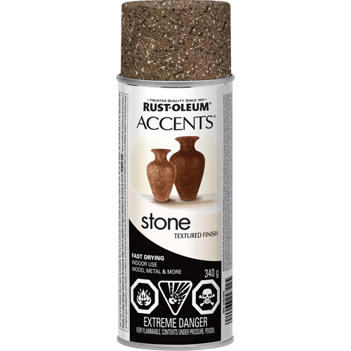 Accents&reg; Stone Creations Spray Paint, Aerosol Can, Sienna Stone Canadian Safety Group Inc.