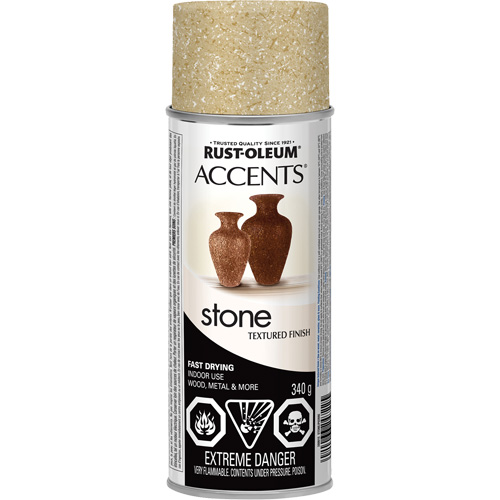 Accents&reg; Stone Creations Spray Paint, Aerosol Can, Bleached Stone Canadian Safety Group Inc.