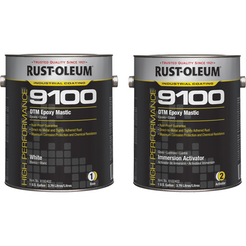 Ensemble de base et d'activateur pour mastic &eacute;poxy DTM du syst&egrave;me 9100, Blanc, Gallon Canadian Safety Group Inc.
