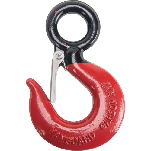 Black Eye&reg; Wire Rope Hoist Hook Canadian Safety Group Inc.
