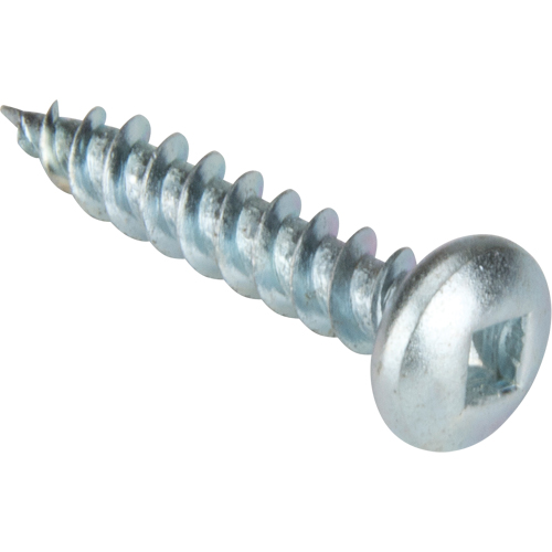 Tapping Screw Pan Head, #10 x 1-1/4" L, Zinc Plated Canadian Safety Group Inc.